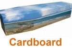 Cardboard-Cornwall-3649-150x100