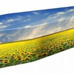 funerals-totnes-devon-coffins-cardboard-sunflower