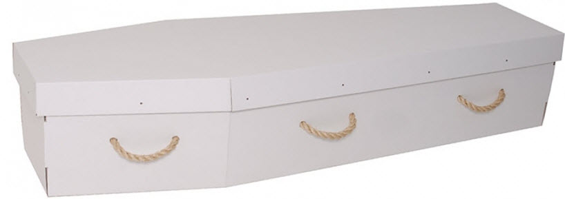 funerals-totnes-devon-coffins-cardboard-plain-lily-white