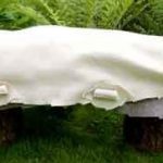 funerals-totnes-devon-coffins-leaf-pod