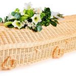 funerals-totnes-devon-coffins-woven-willow-pod-white