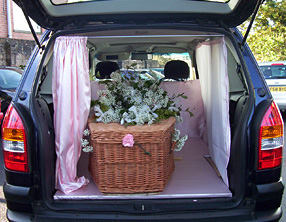 hearse-transport-funerals-totnes-devon