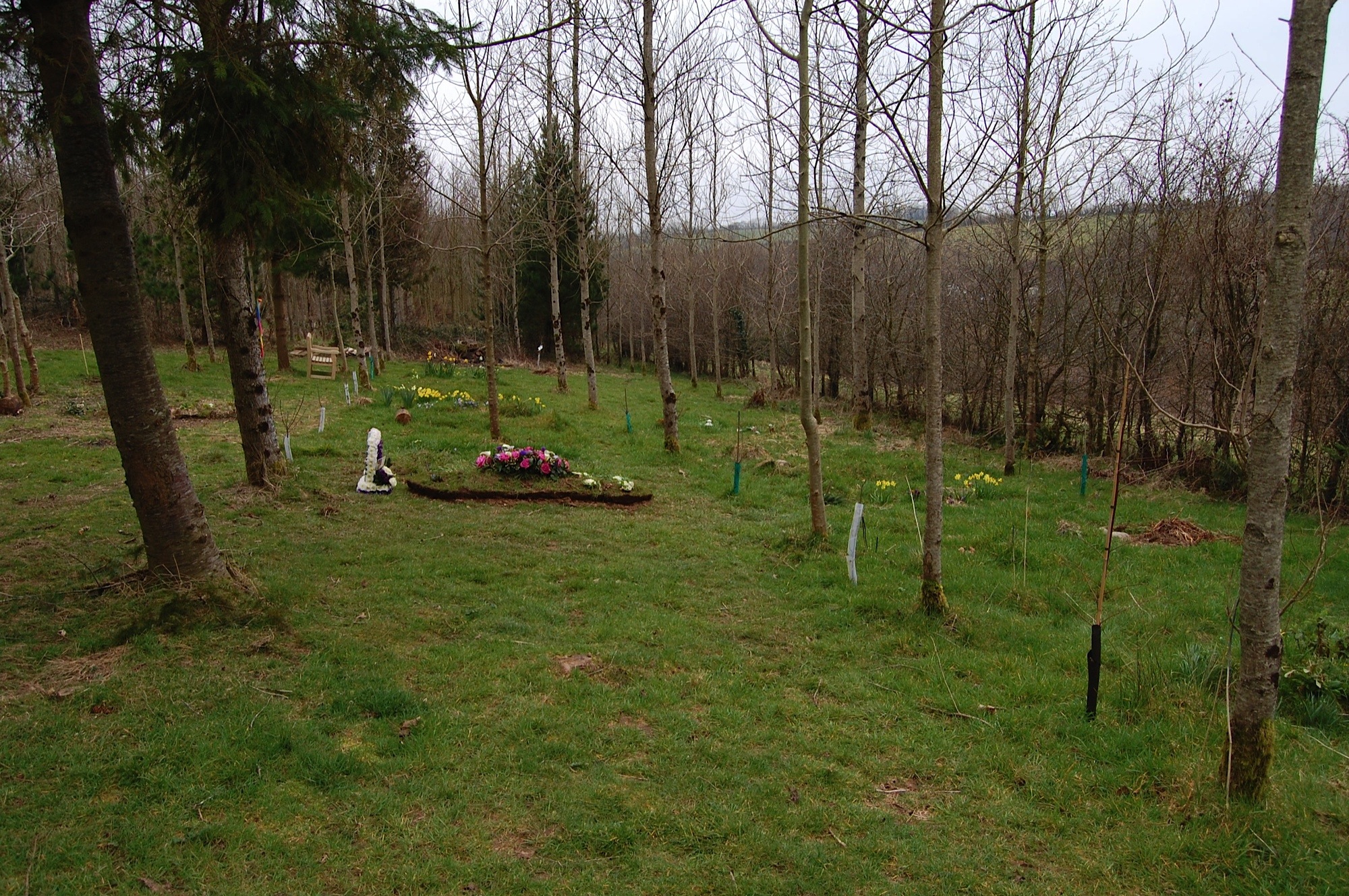 Burials in nature Heart & Soul