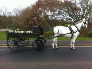 blog-ten-vehicles-hearse-single-horse-cart