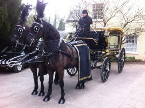 blog-ten-vehicles-hearse-horse-carriage