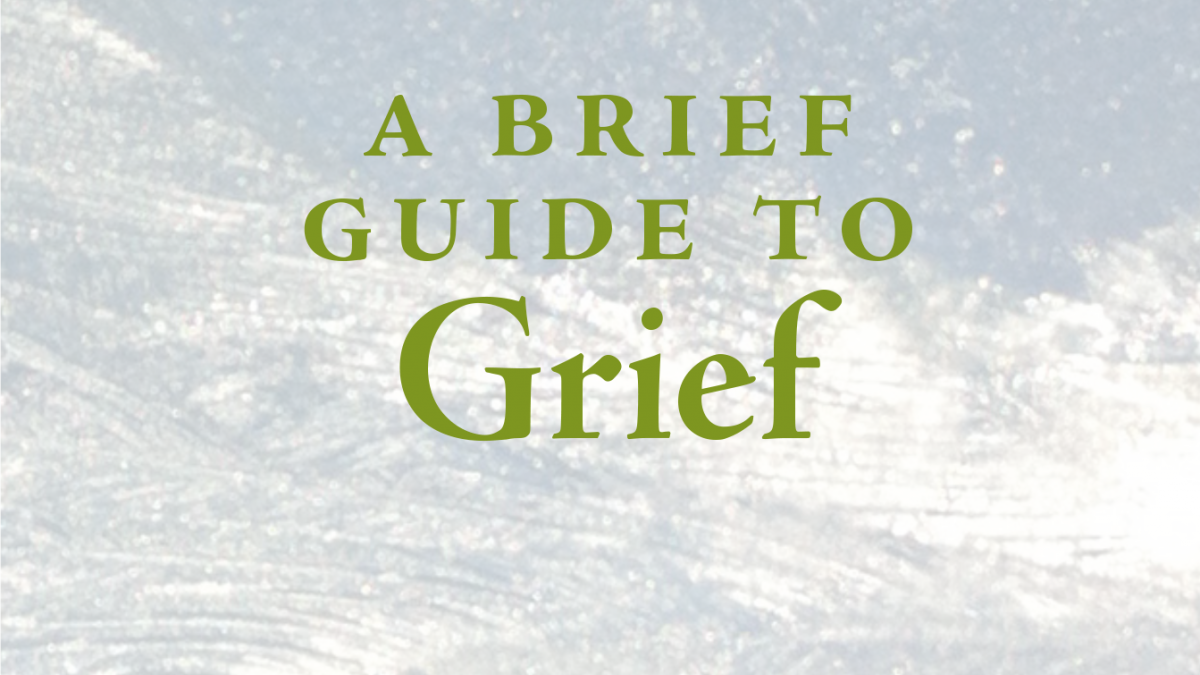 lois-tonkin-brief-guide-grief