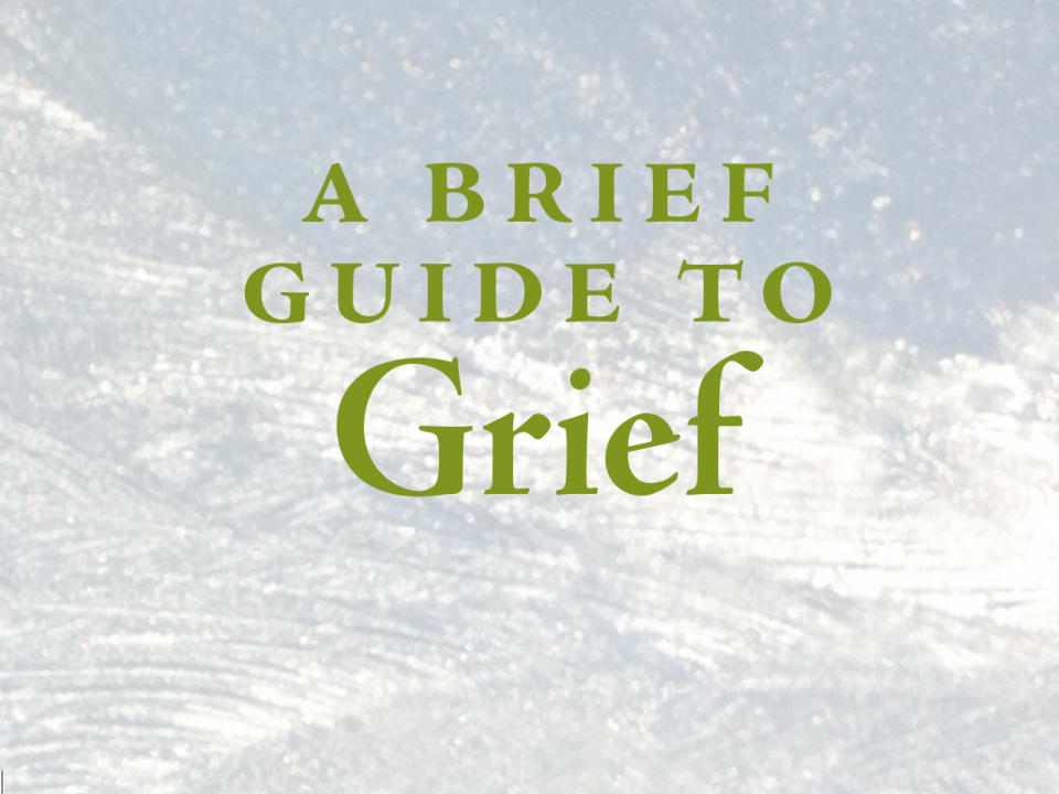lois-tonkin-brief-guide-grief