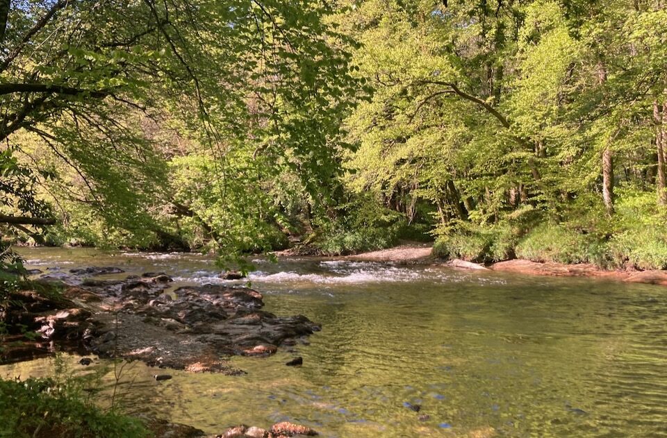 River Dart