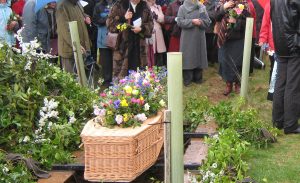 funeral-devon-news-green-funeral-top-10