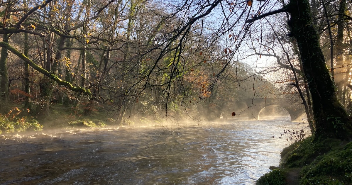 River Dart Winter