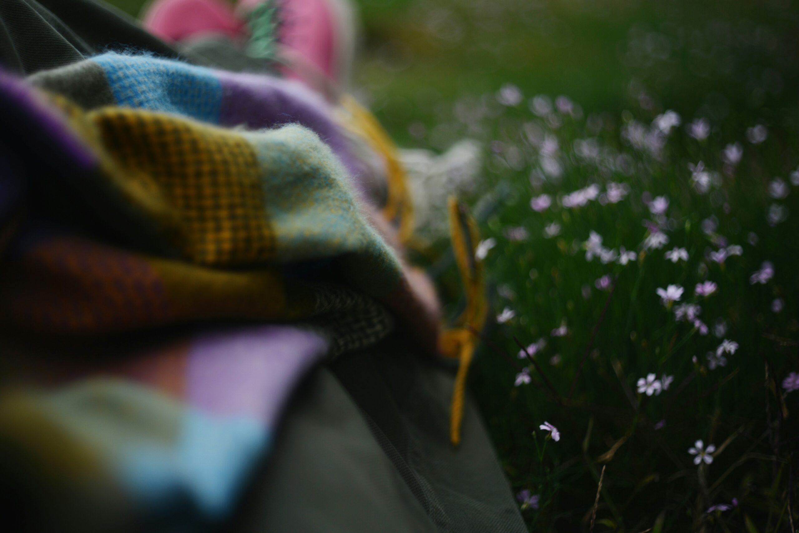 Favourite blanket